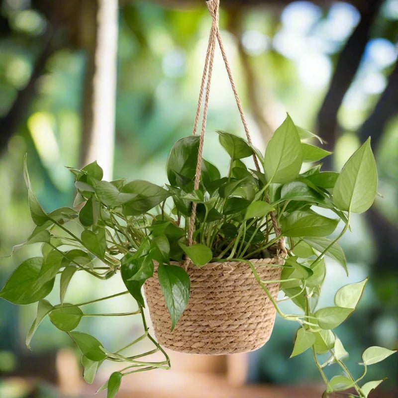 Jute Macrame Hanging Planter Basket - Novique